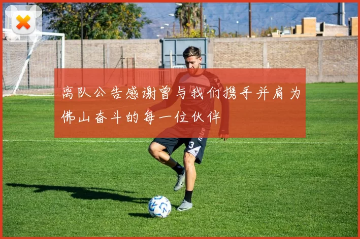 离队公告感谢曾与我们携手并肩为佛山奋斗的每一位伙伴
