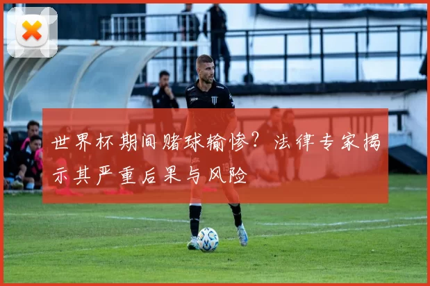 世界杯期间赌球输惨？法律专家揭示其严重后果与风险