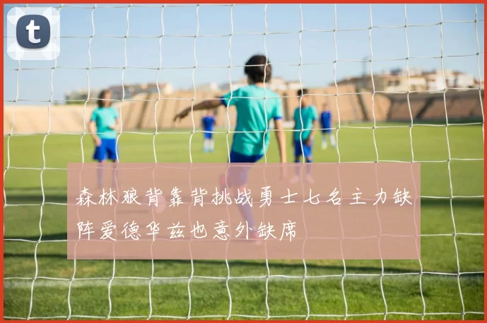 森林狼背靠背挑战勇士七名主力缺阵爱德华兹也意外缺席