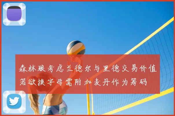 森林狼考虑兰德尔与里德交易价值若欲换字母需附加麦丹作为筹码
