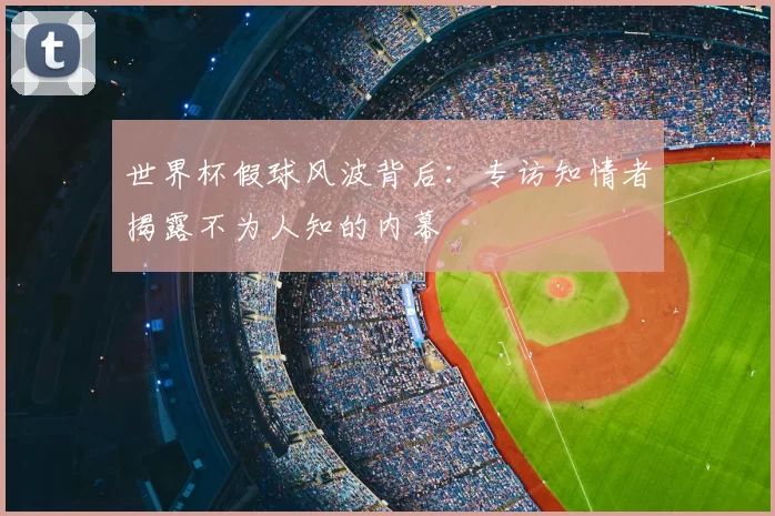 世界杯假球风波背后：专访知情者揭露不为人知的内幕