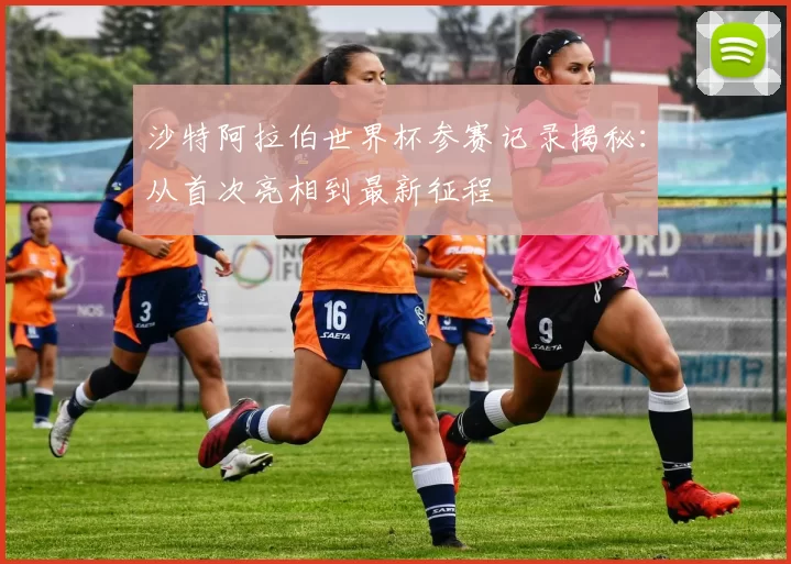 沙特阿拉伯世界杯参赛记录揭秘:从首次亮相到最新征程
